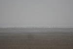 4124IMG_8759.JPG