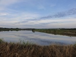 24877DSC01091.JPG