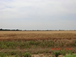 29869CIMG1362.JPG
