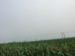 32771CIMG1903.JPG