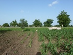 19360P1010206.JPG