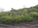 498219042008(81).JPG