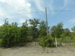 35584DSC02084.JPG