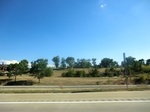 56746CIMG1752.JPG