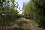 285IMG_4181.JPG