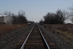 10135Field Survey 1 024.JPG