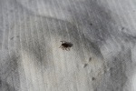 349IMG_3458.JPG