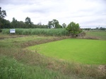 33396RIMG0136.JPG