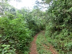 46291CIMG0580.JPG