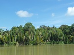 54688Bulungan (183).JPG