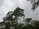 48138CIMG4475.JPG