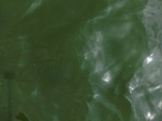 58408CIMG2857.JPG