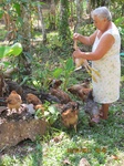 31855IMG_5447.jpg