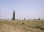 9075RIMG0155.JPG