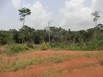 48986CIMG5323.JPG