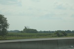 2024-09-24_16-32-30_56C87047-60E5-4623-9A2B-369A5B5B2357.jpeg