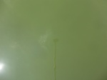 58237CIMG2684.JPG