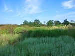 57035CIMG2238.JPG