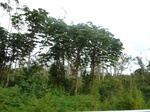 20056P1010907.JPG