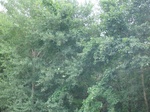 5451316_GEO.jpg