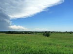 21542P1010366.JPG