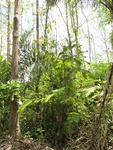 29551IMG_5164.JPG