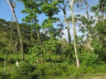 31950IMG_5657.JPG