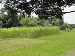 24622DSC00841.JPG