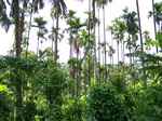 17498100_2753.JPG