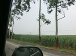 32722CIMG1853.JPG