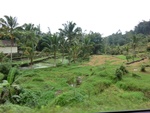 30840CIMG0690.JPG