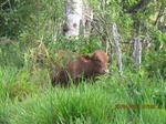 30040IMG_5362.JPG
