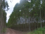 26231RIMG0198.JPG