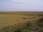 3235R0017269.JPG