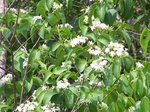 1724720042008(33).JPG