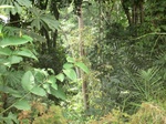 47143CIMG3480.JPG
