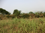 50320CIMG0949.JPG