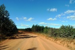 28499P1010511-1.JPG