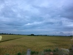 55909CIMG6632.JPG
