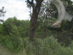 26707IMG_3425.JPG