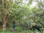 46642DSC01975.JPG