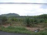 27781RIMG0063.JPG