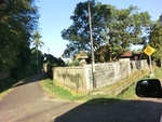 30472CIMG2041.JPG