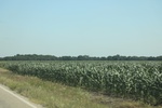 2024-06-17_21-20-43_CAD00604-85A3-45C1-BBD2-51D3014FC637.jpeg
