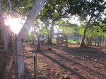 32027IMG_5699.JPG