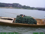 1110R0015293_tag.jpg