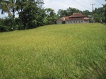 13814IMG_4077.JPG