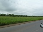 20393P1020250.JPG