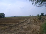 28279RIMG0281.JPG