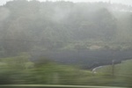 2024-08-05_13-43-57_2CBEDFDE-7779-49EF-B96A-F1340EF1E2FC.jpeg